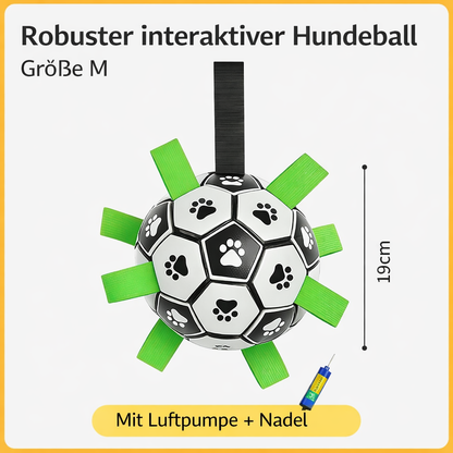 Haustier Freuden-Laschenball