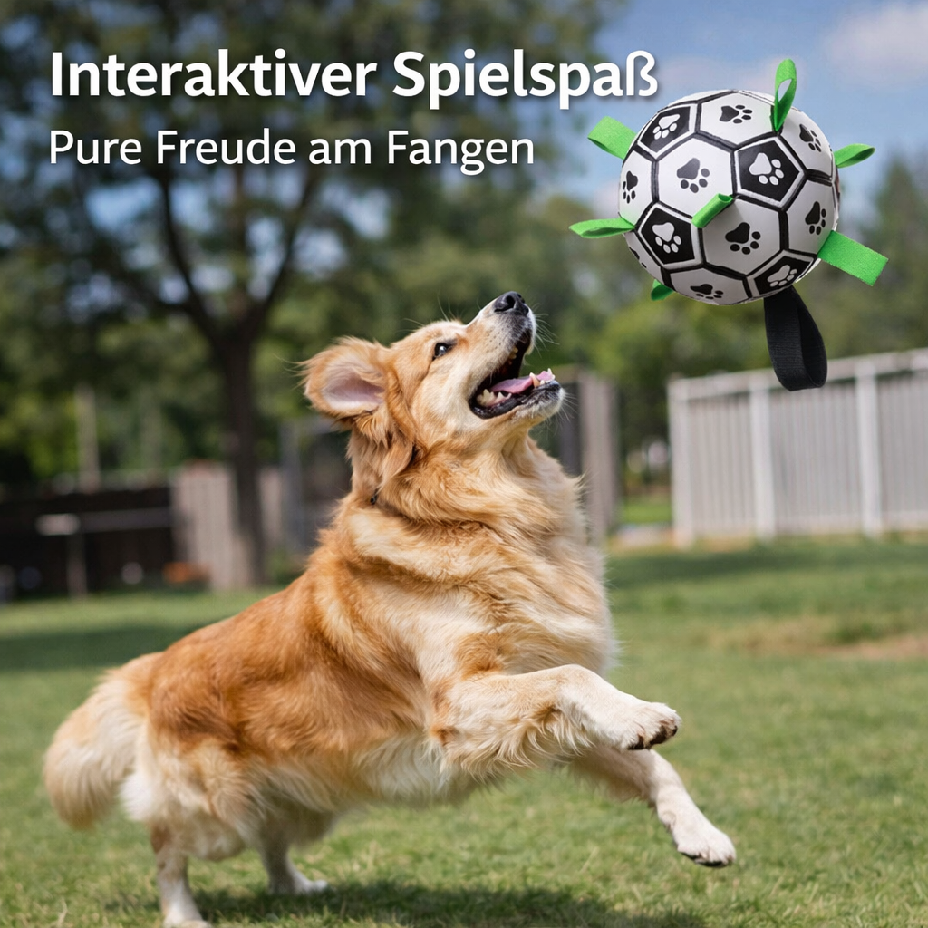 Haustier Freuden-Laschenball
